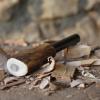 Firesteel manche corne de renne