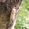Pendentif en bois de renne et boulot madré