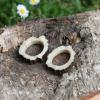Boucle en corne de cerf