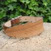 Collier pour chien