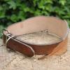Collier pour chien