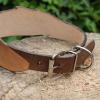 Collier pour chien