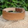 Collier pour chien