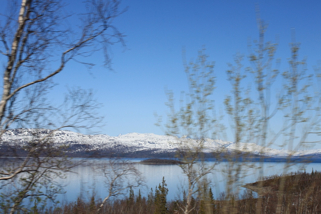route sauvage