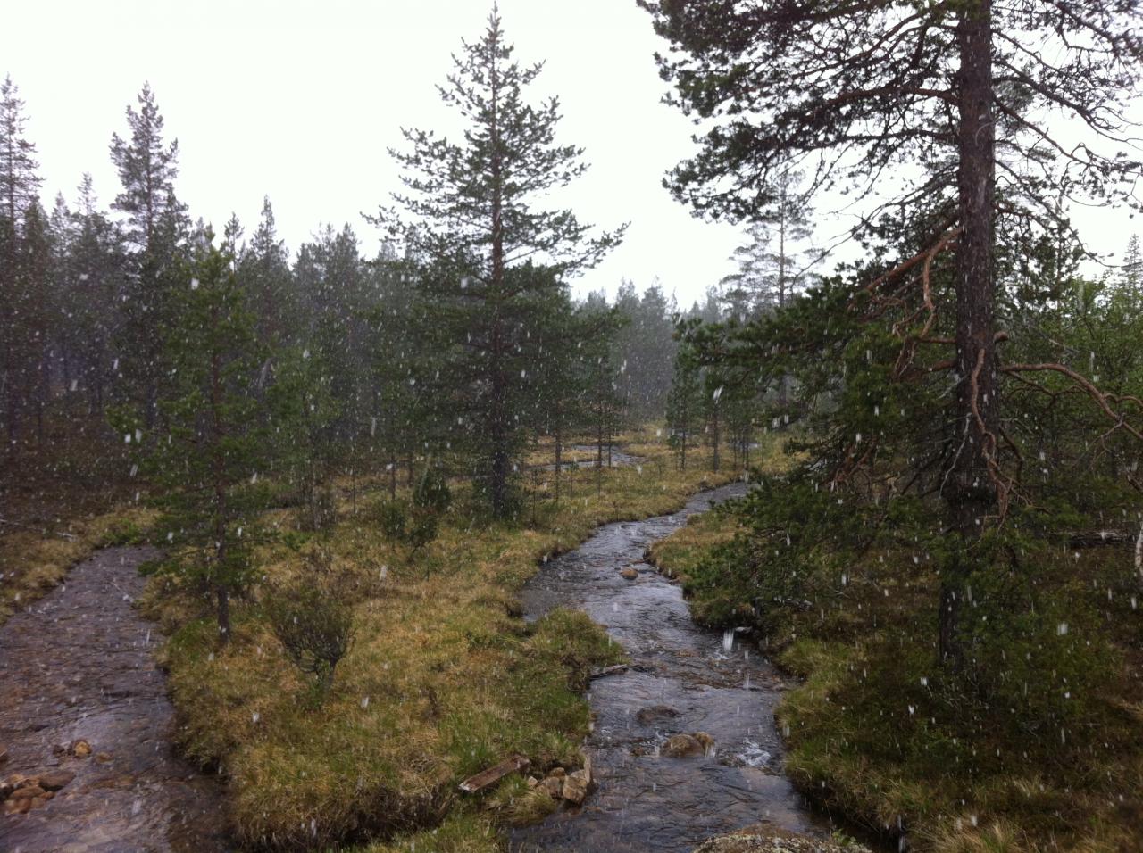 Neige en plein mois de juin près d'Inari