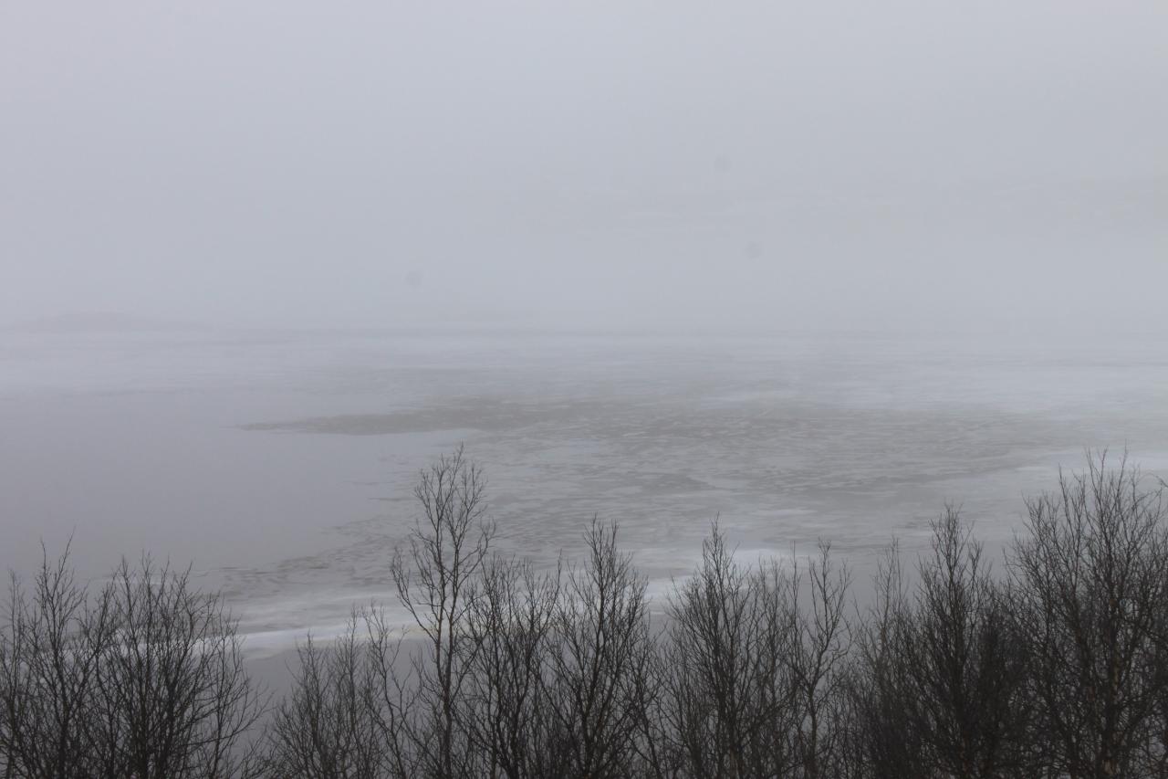 Brouillard sur le lac