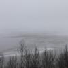 Brouillard sur le lac