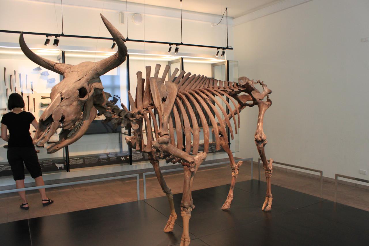 Copenhaque musée d'histoire national